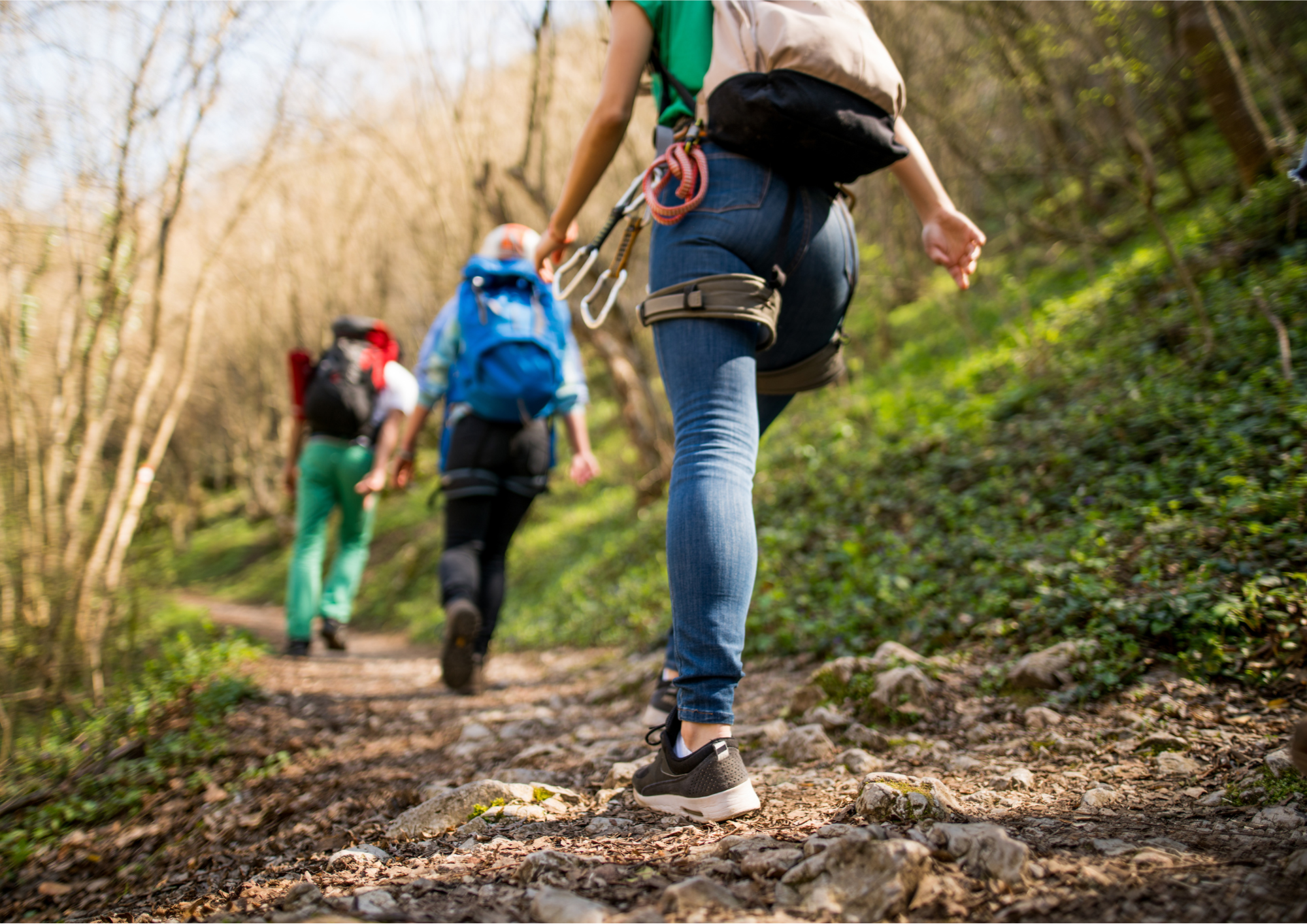 Young people hiking on a woodland trail