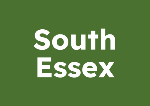 South Essex Summer Activities