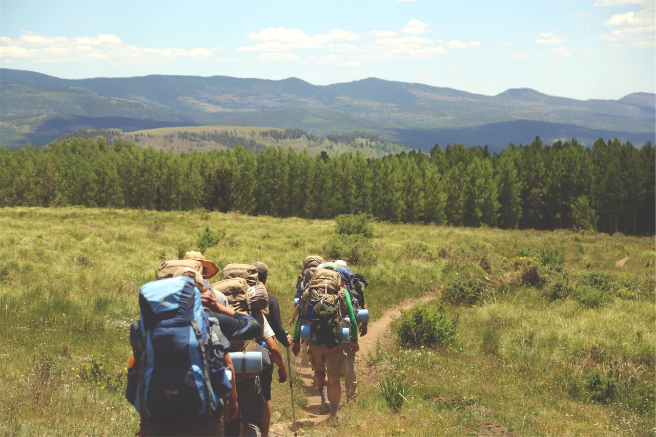 Hikers walking through a field toward a wooded area