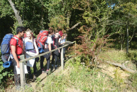 Hiking through woods